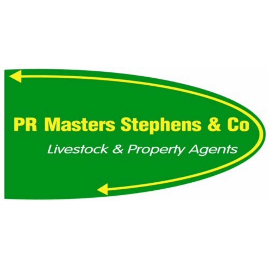 Masters Stephens Real Estate