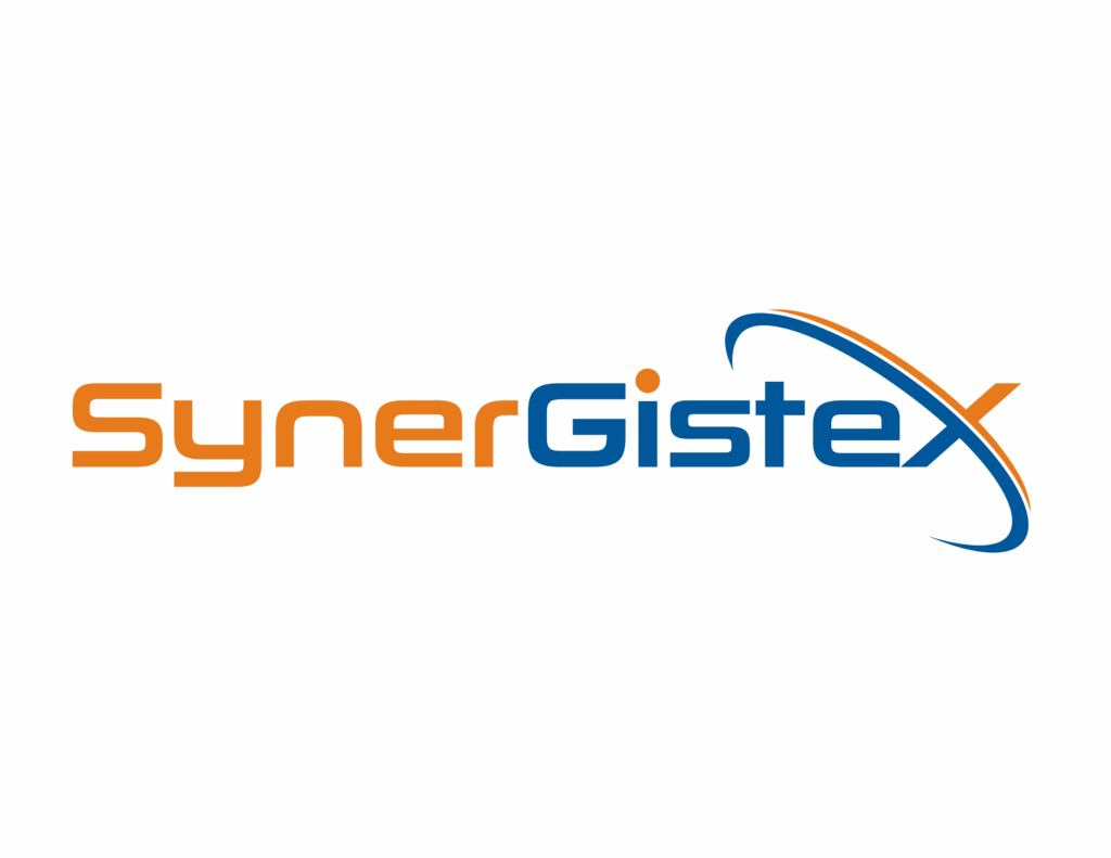 SynerGisteX 04