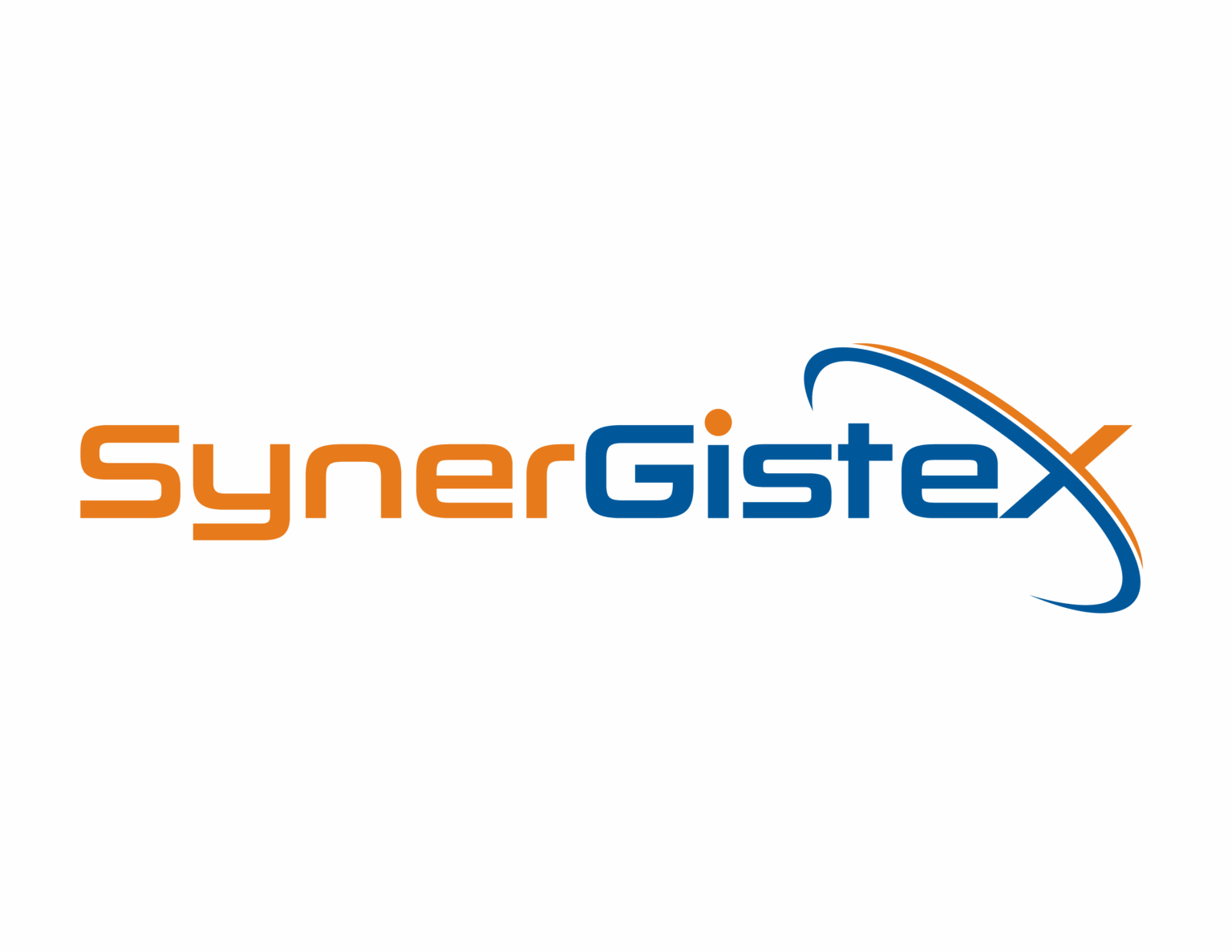 SynerGisteX 04