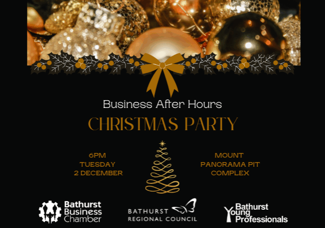 Christmas After Hours (650 X 450 Px)